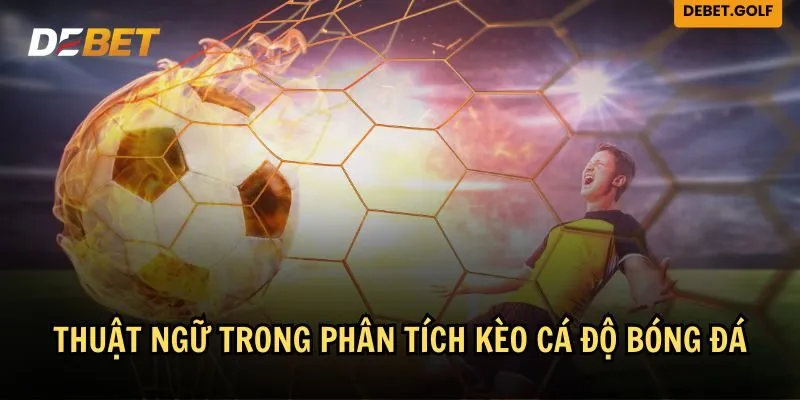 Trong phân tích kèo và tỷ lệ cũng có những thuật ngữ quan trọng