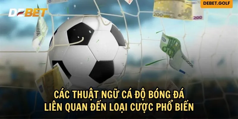 Thuật ngữ cá độ bóng đá về các loại cược